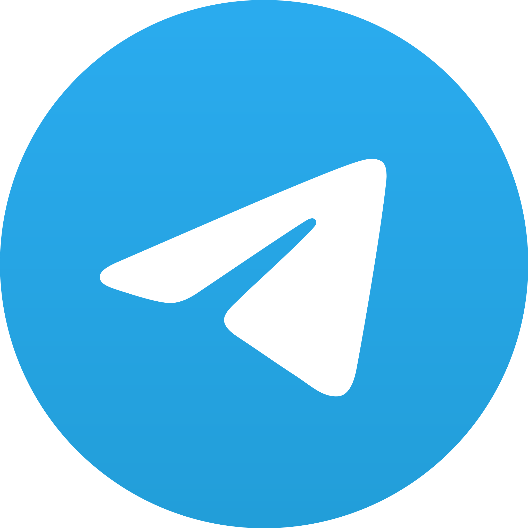 Telegram Icon